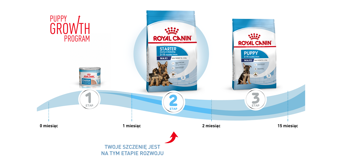 ROYAL CANIN Maxi Starter Mother&Babydog 15 kg